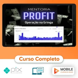 Mentoria Meta Profit - Bruno Henrique